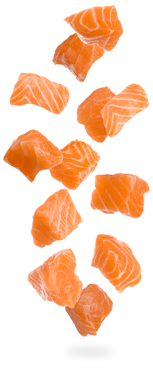 dés de saumon frais pour un poke bowl